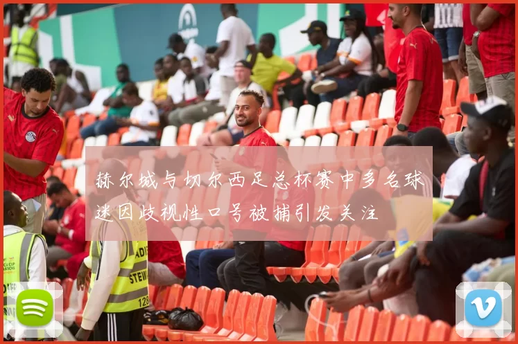 赫尔城与切尔西足总杯赛中多名球迷因歧视性口号被捕引发关注